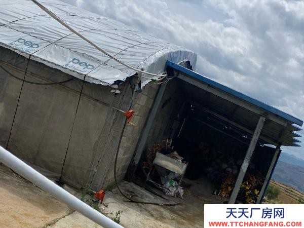 (出租) 紅河自己養雞，了，交通水電都方便，周邊無污染環境