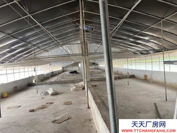 (出租) 紅河自己養雞，了，交通水電都方便，周邊無污染環境