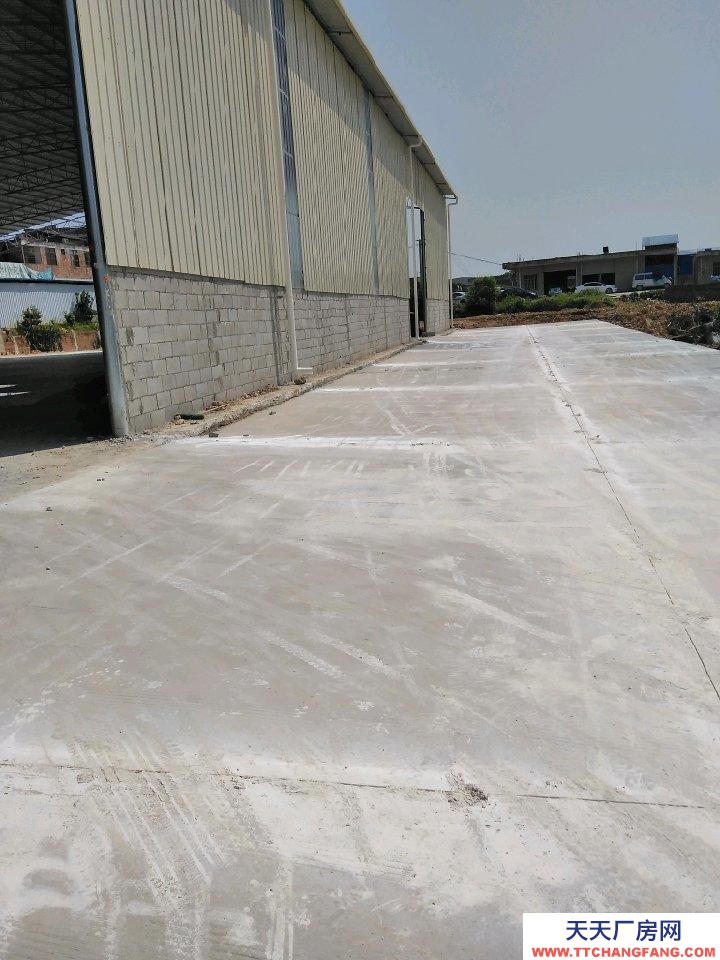 南寧市西鄉塘區(出租) 高安路101博世科對面廠房