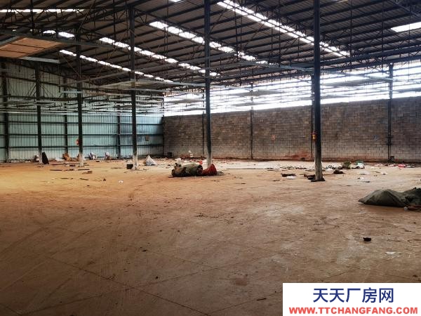 (出租) 水，三項電100 千伏安皆通！廠房周正，設備齊全！紅河