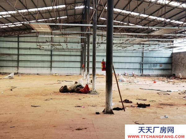 (出租) 水，三項電100 千伏安皆通！廠房周正，設備齊全！紅河