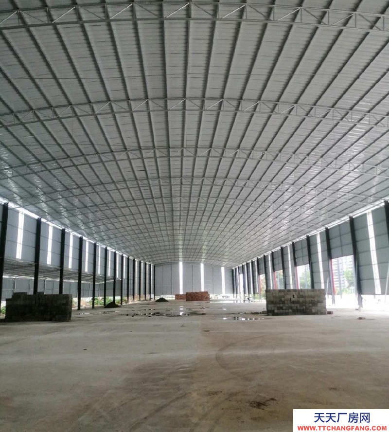 南寧市西鄉塘區(出租) 高新區500-5000平新廠房倉庫出租