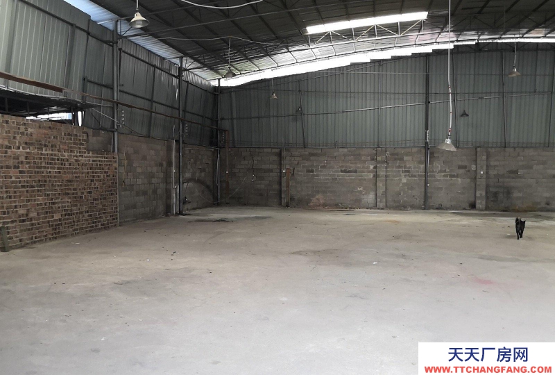 南寧市西鄉塘區(出租) 鋼結構，位于通塑再生公司旁