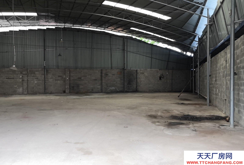 南寧市西鄉塘區(出租) 鋼結構,位于通塑再生公司旁