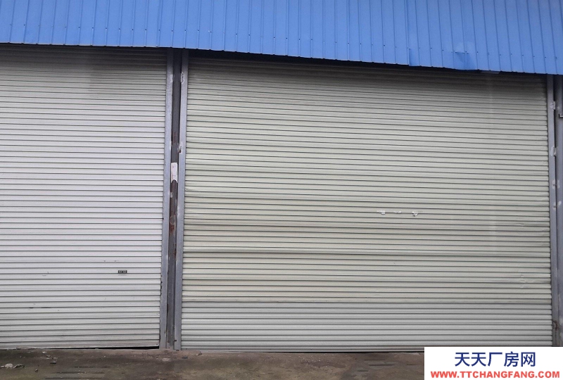 南寧市西鄉塘區(出租) 鋼結構,位于通塑再生公司旁