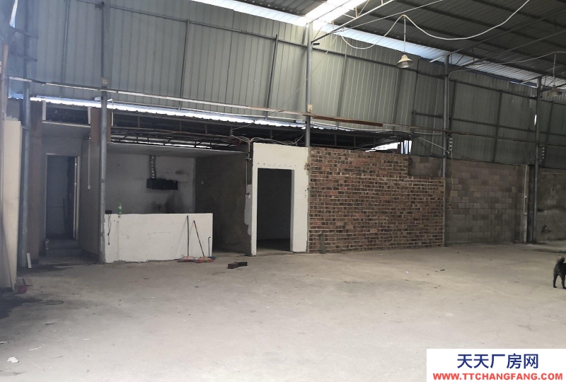 南寧市西鄉塘區(出租) 鋼結構,位于通塑再生公司旁