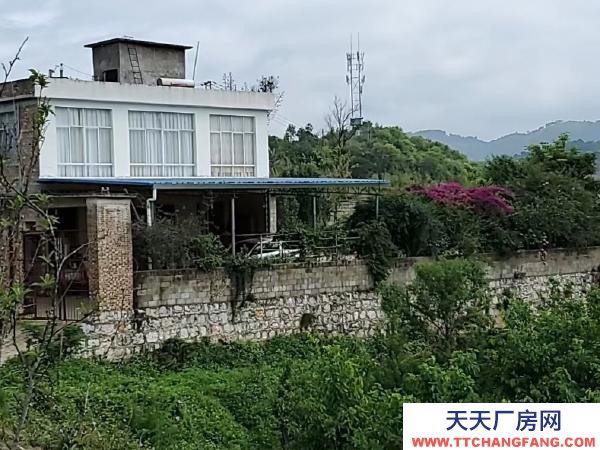 (出租) 出租文山市州政府片區(qū)