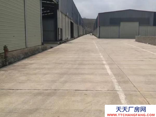 (出租) 文山自家的地基,可分租,手續(xù)齊全,有意者電話聯(lián)系