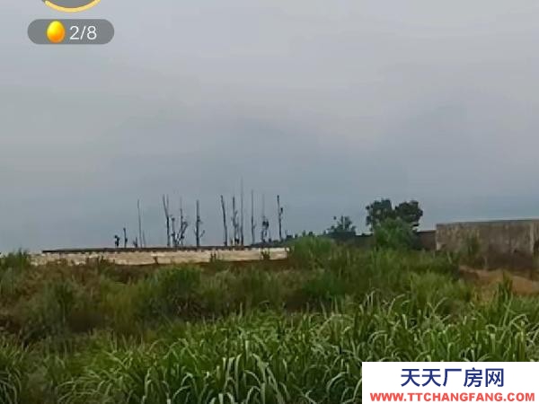 文山(出租) 環保證都有。離城區也遠