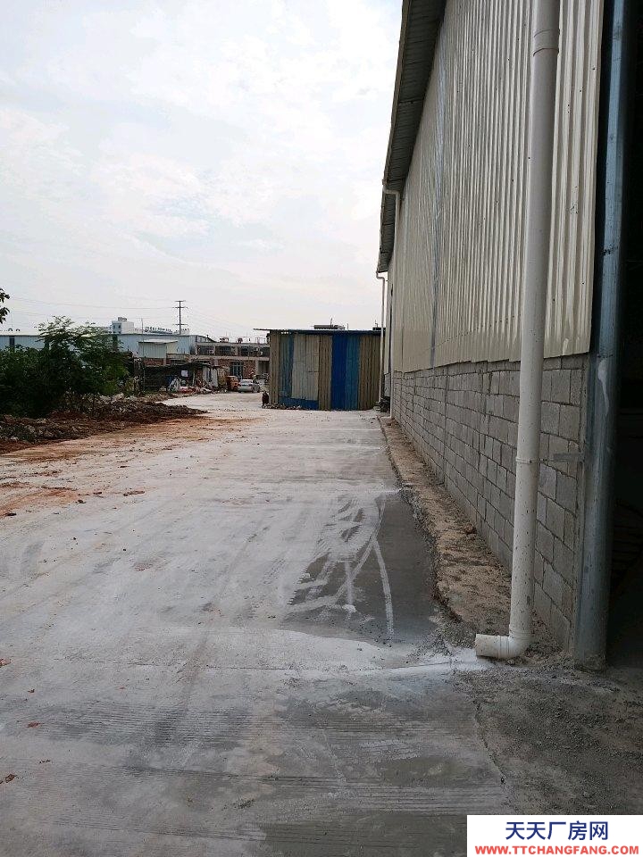 南寧市西鄉塘區(出租) 新倉庫出租便宜。有意來電。可分租