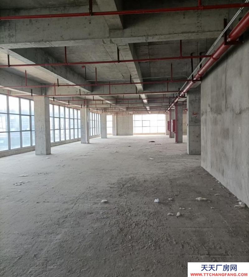 (出租) 瑤海區(qū)獨(dú)棟廠房16000平招租(中介勿擾)