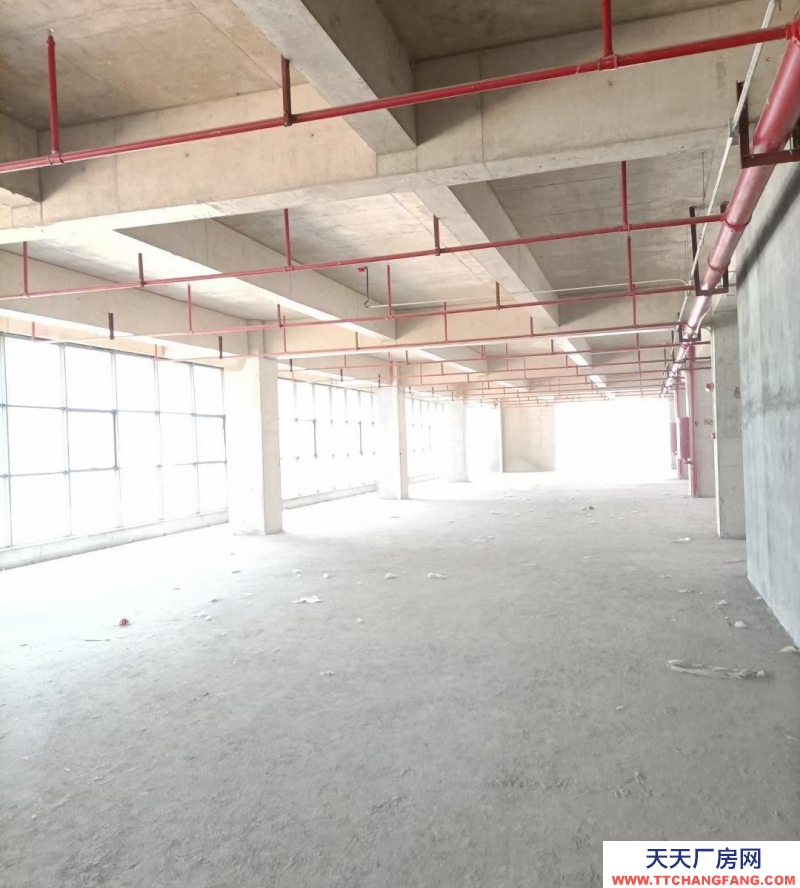 (出租) 瑤海區(qū)獨(dú)棟廠房16000平招租(中介勿擾)