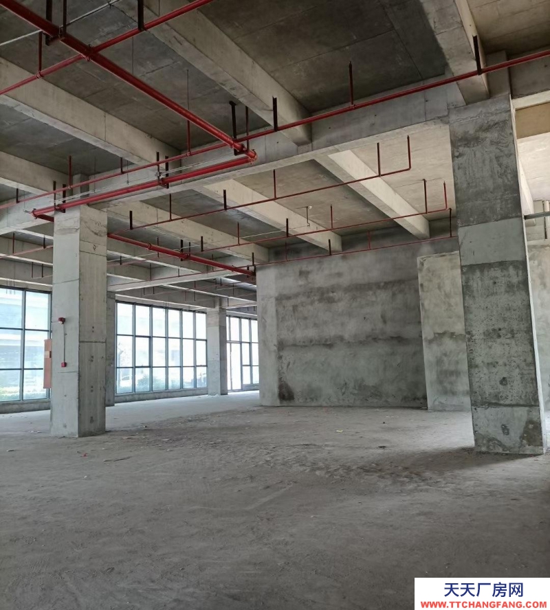 (出租) 瑤海區(qū)獨(dú)棟廠房16000平招租(中介勿擾)