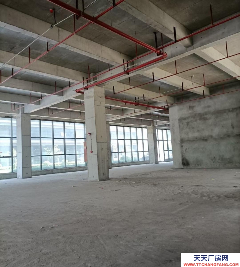 (出租) 瑤海區(qū)獨(dú)棟廠房16000平招租(中介勿擾)