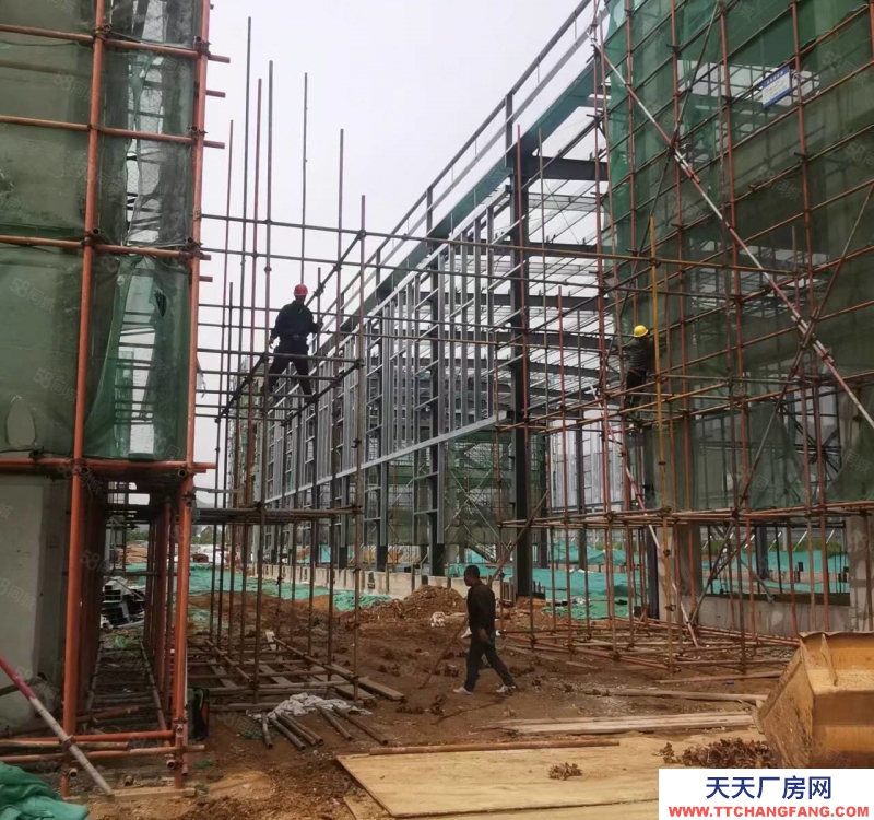 保定 高碑店  京南 單層挑高12米輕鋼廠房 環評寬松 1200至3300平