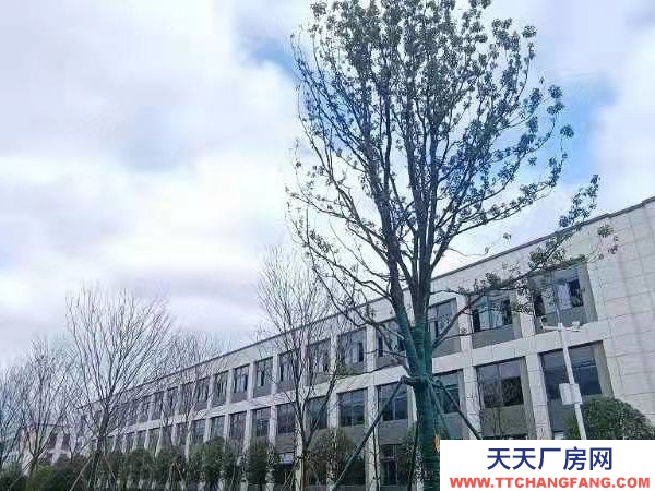 長沙市瀏陽區 2層！3層！獨棟！出售！開發直招！