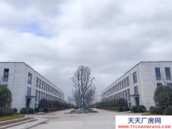 長沙市瀏陽區 獨棟!大平層2600平,即買即用!開發直招!可按揭!