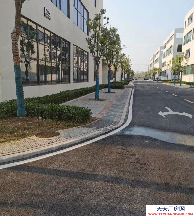 (出售)合肥瑤海 400平總價130萬廠房出售 現房現房現房