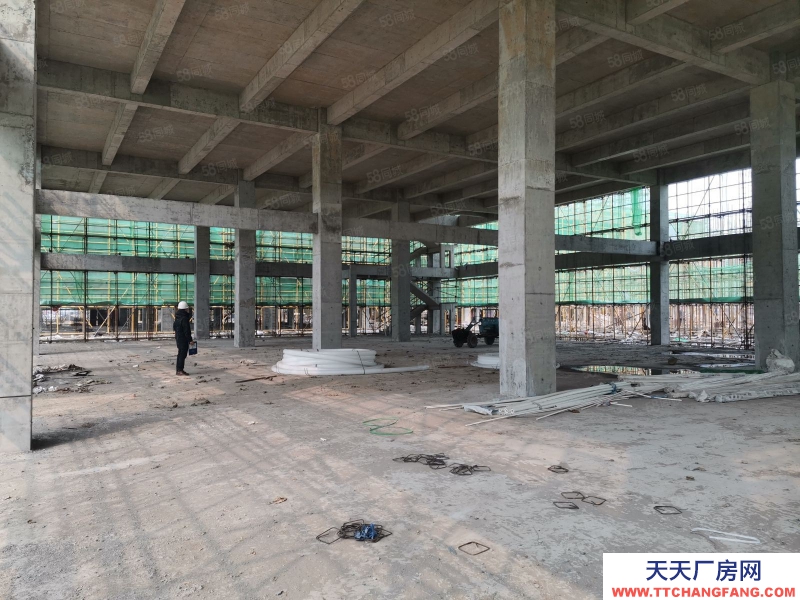 (出售) 合肥瑤海準(zhǔn)現(xiàn)房，獨棟帶院子，送露臺，停車位多，價格低，來電咨詢