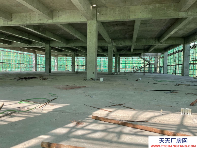 (出售) 合肥瑤海準(zhǔn)現(xiàn)房,獨棟帶院子,送露臺,停車位多,價格低,來電咨詢