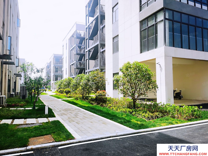 (出售) 合肥瑤海周邊 兩層 小面積獨棟 開發商直售 50年產權 限時特惠