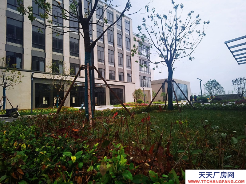 (出售) 合肥瑤海周邊 兩層 小面積獨棟 開發商直售 50年產權 限時特惠