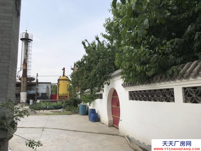 保定 徐水 107國道毗鄰雄安新區廠房出租 后院有空地