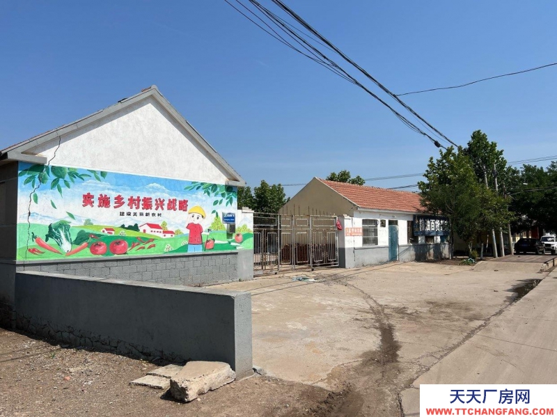 青島萊西糧庫自帶地磅輸送帶，12間正屋12間平房