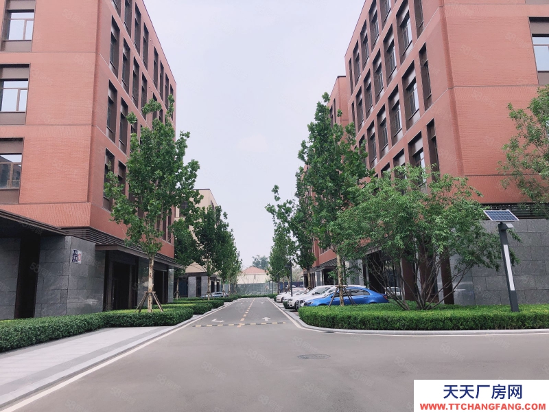 保定 徐水 50年不拆,現房!!!特價緊此一套,可環評通燃氣,贈300平