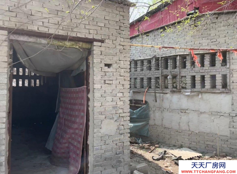 保定 徐水  獨門獨院養殖場，后邊是山。放牧方便，使用權，使用權