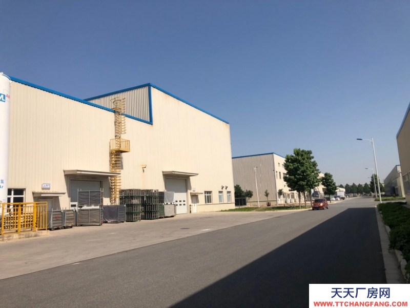 保定 徐水 大王店鋼構廠房出租 挑高12米 可生產可環評