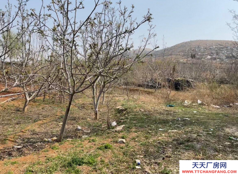 保定 徐水 多方面養(yǎng)殖場地。環(huán)境好。3畝多地，使用權(quán)