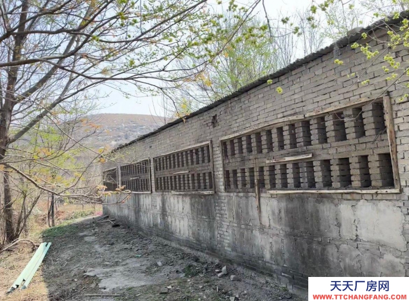 保定 徐水 多方面養殖場地。環境好。3畝多地，使用權