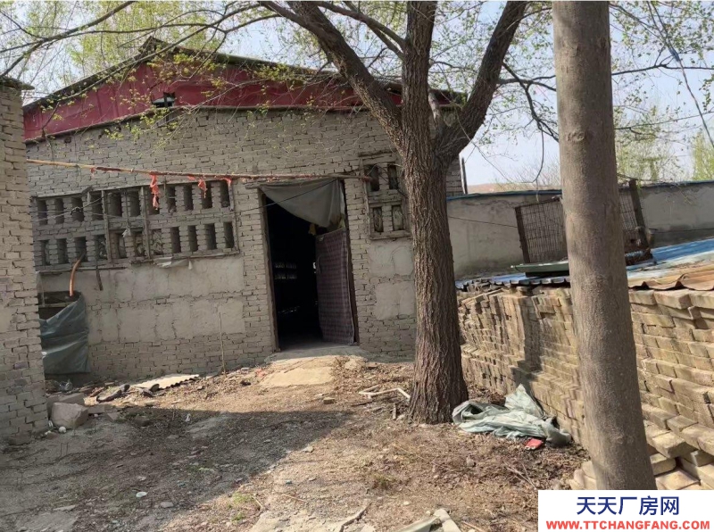 保定 徐水 多方面養殖場地。環境好。3畝多地，使用權