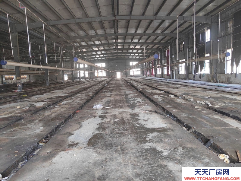 杭州桐廬(出租) 各類環(huán)評好批， 獨門獨院 鋼結(jié)構(gòu)8000方廠房8畝空地