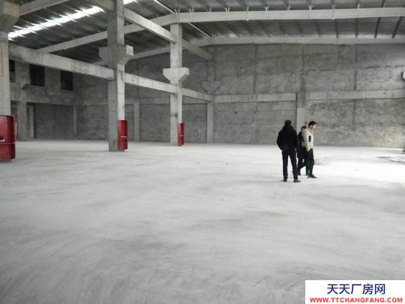 (出售) 合肥長豐單層1800平 層高9米以上可架10噸行車