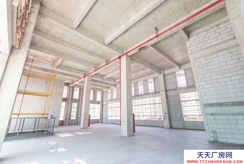 (出售) 合肥長豐中南首開8.1米獨棟廠房。近蔚來新能源，長鑫電子產業園