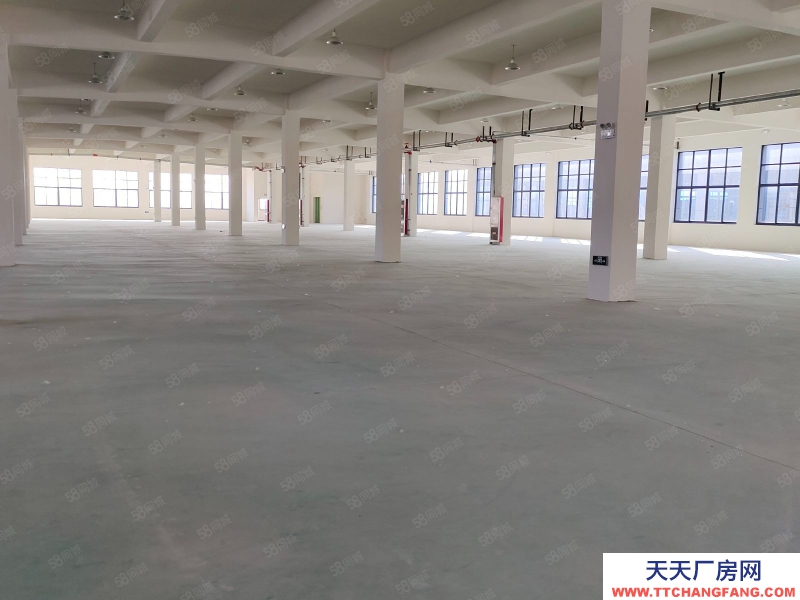 (出租) 合肥長豐雙鳳工業(yè)園2400平1200平廠房出租可做食品,可辦環(huán)評