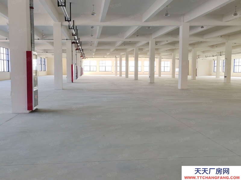 (出租) 合肥長豐雙鳳工業(yè)園2400平1200平廠房出租可做食品,可辦環(huán)評