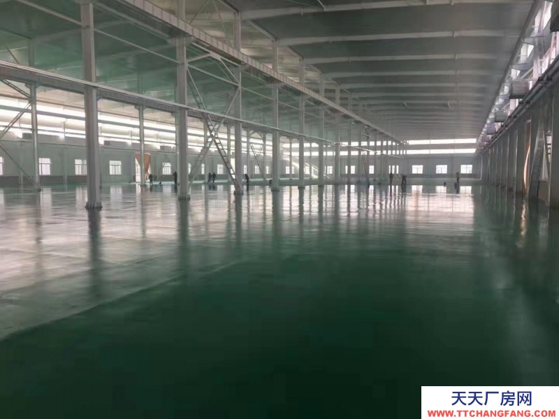 保定 滿城 新建車間廠房多個滿城北外環(huán)交通方便河北雪松紙業(yè)有限公司院