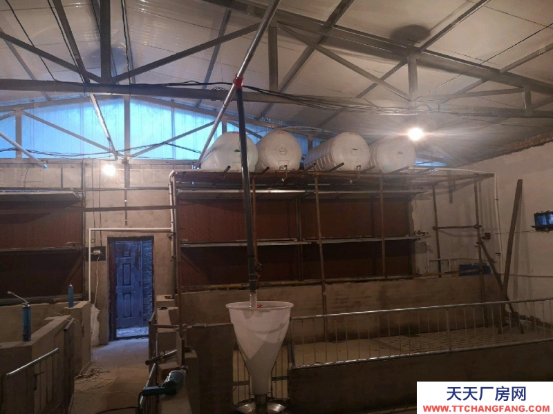 (出租) 自建養(yǎng)殖場,豬 牛 羊均可使用