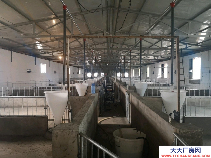 (出租) 自建養(yǎng)殖場,豬 牛 羊均可使用