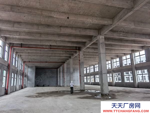 長沙市長沙區2層獨棟準現房,8米層高,12米柱距,適合生產的大通間廠房