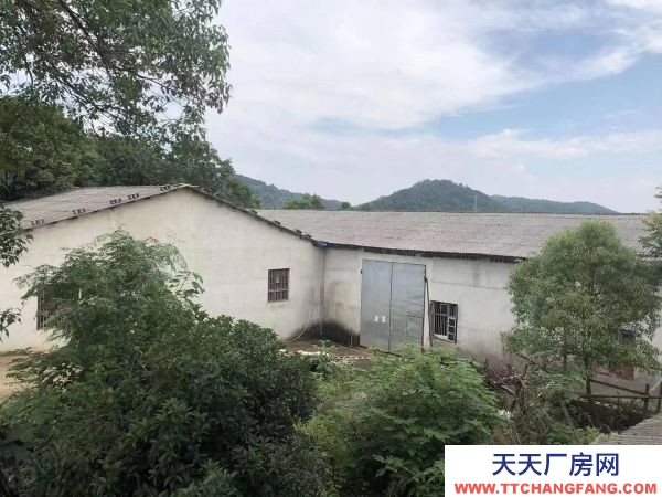 長沙市長沙區(qū)跳馬1750平倉庫單價(jià)7元一平出租