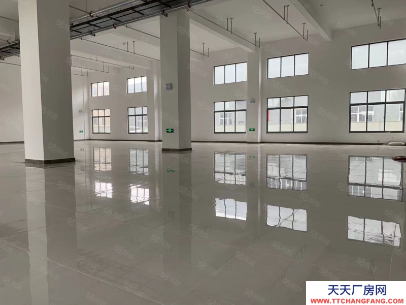 (出租) 裝修好200平350平650大小不等電商辦公倉儲,輕加工組裝