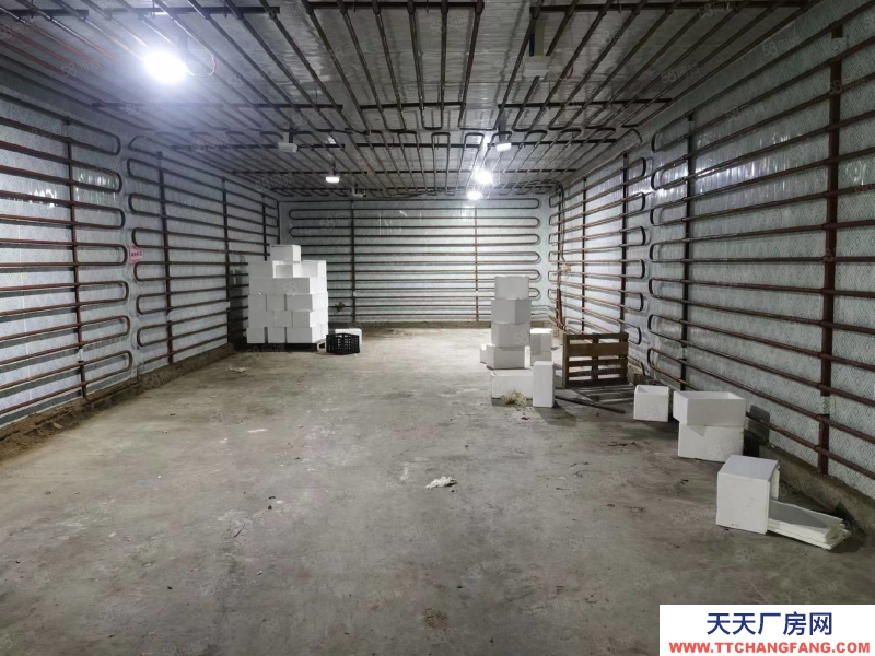 (出租) 合肥肥東龍?zhí)羻伍T獨戶廠房房冷庫出租