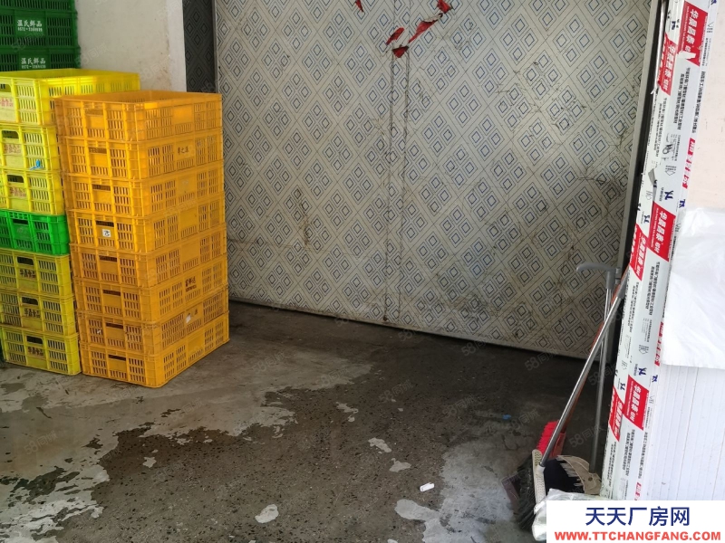 (出租) 合肥肥東龍塘單門獨戶廠房房冷庫出租