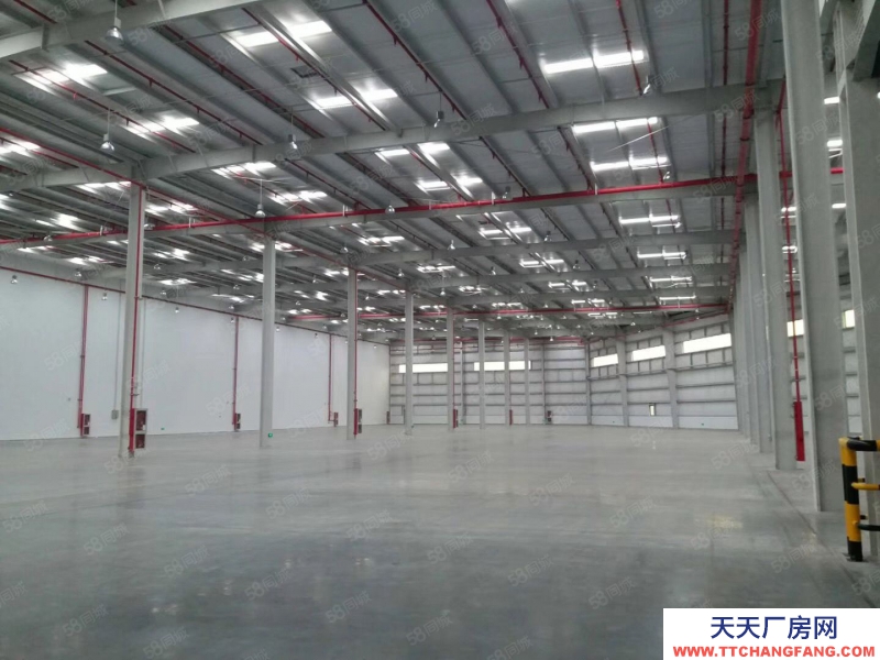 (出租) 合肥 肥東高標(biāo)倉庫5000平米