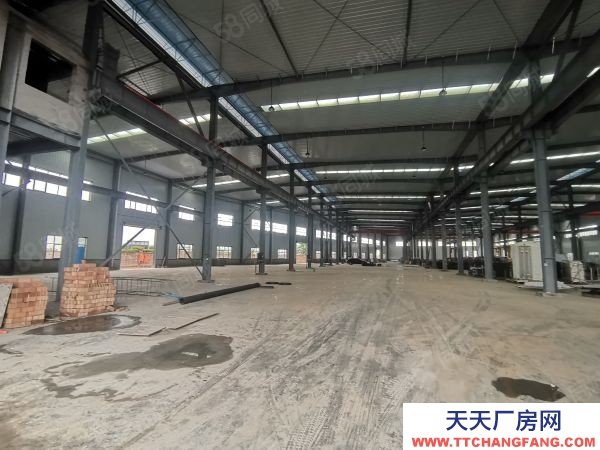 株洲市天元區(qū)高新區(qū)標廠帶帶行車