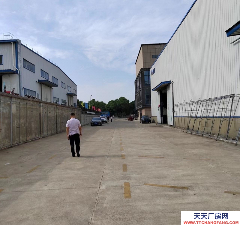 (出租) 合肥 肥東包公大道4300平一樓鋼構(gòu)廠房出租,可分租
